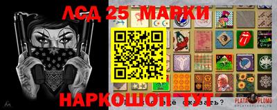 Альфа ПВП Нальчик