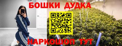 прущие грибы Аргун