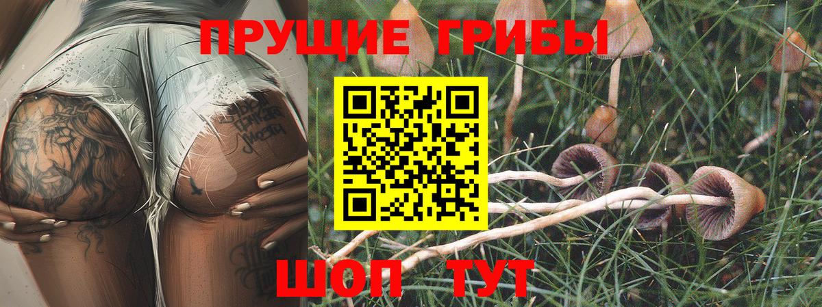 Галлюциногенные грибы Magic Shrooms Краснокаменск
