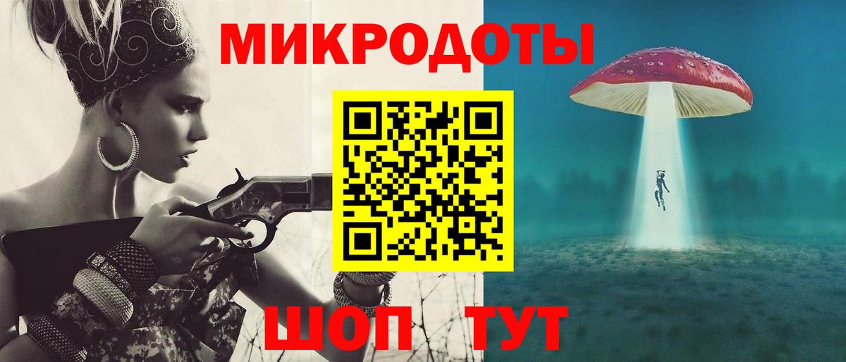 Псилоцибиновые грибы Psilocybe Краснокаменск