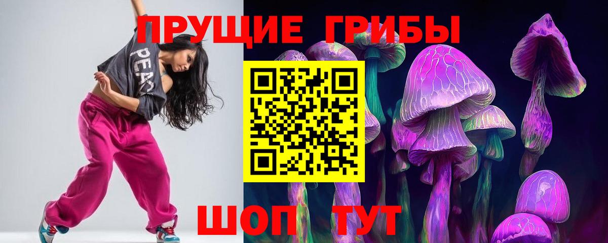 Краснокаменск  Галлюциногенные грибы Cubensis  Вход с VPN 