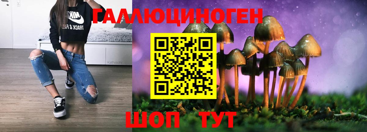 хочу наркоту  Краснокаменск  Галлюциногенные грибы Psilocybe  Галлюциногенные грибы Psilocybine cubensis 